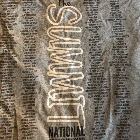 Cheerleading Summit Grey T-Shirt - Picture 3 of 4